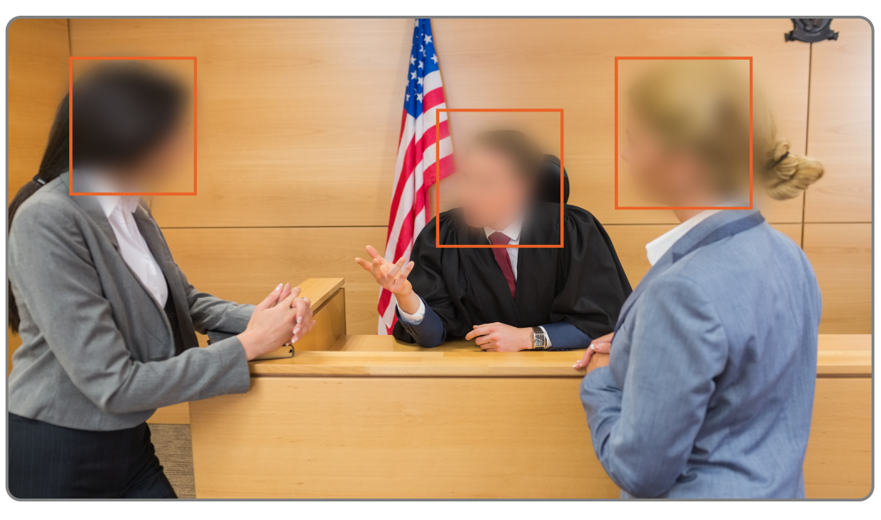 Arizona Public Records Law: Transparency & Privacy with Redaction Tool